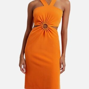 Echo O-Ring Cutout Sheath Dress